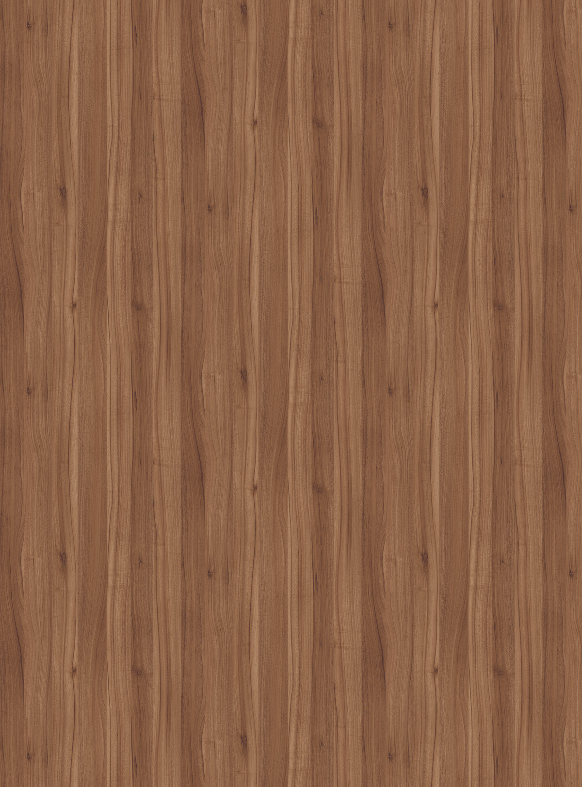 Kaindl CPL 37755 BS Noten Sicilie 3050X1350X0,8MM