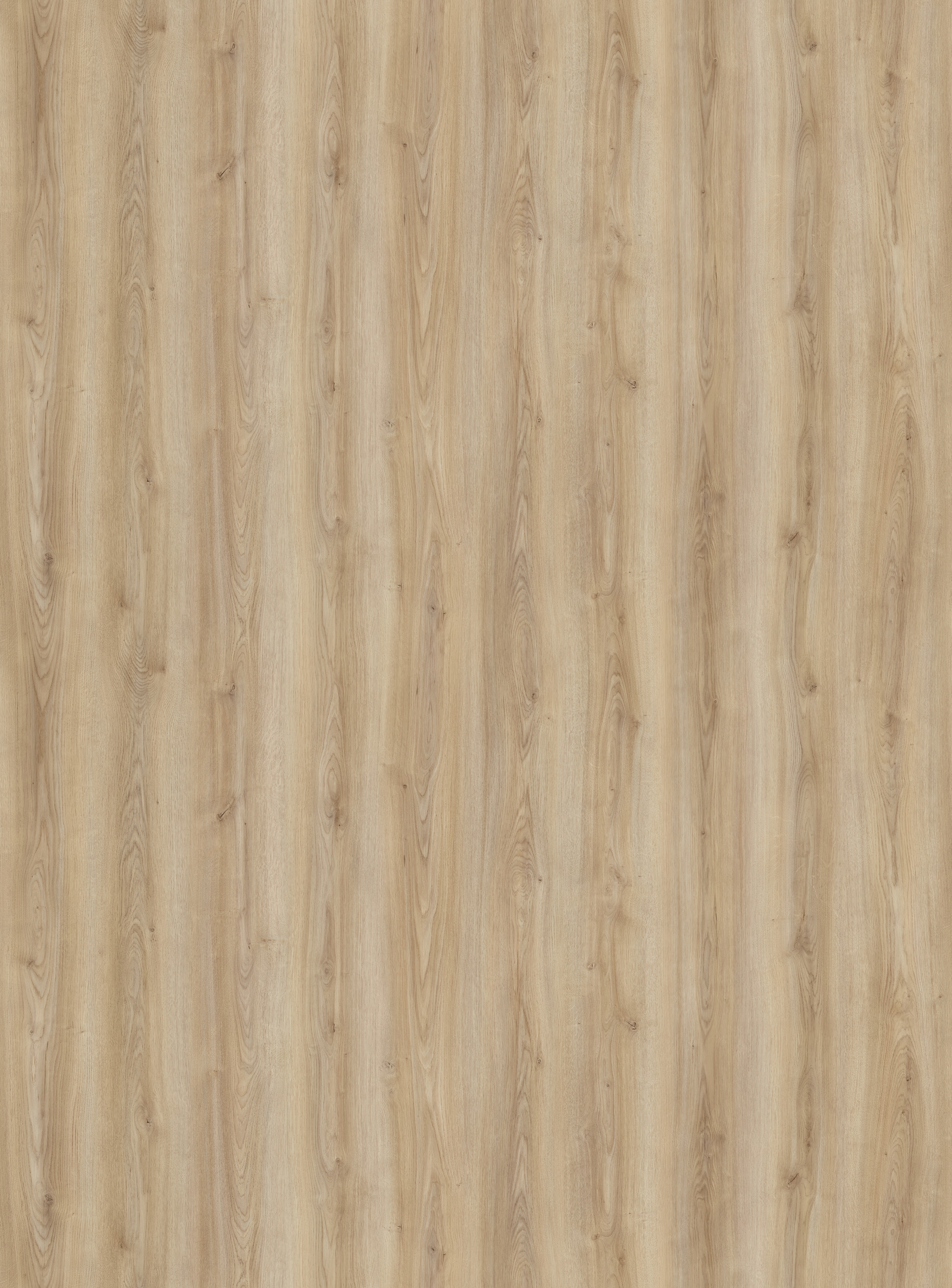 Kaindl CPL K2241 AN Eiken Cordoba Crema 3050X1350X0,8MM