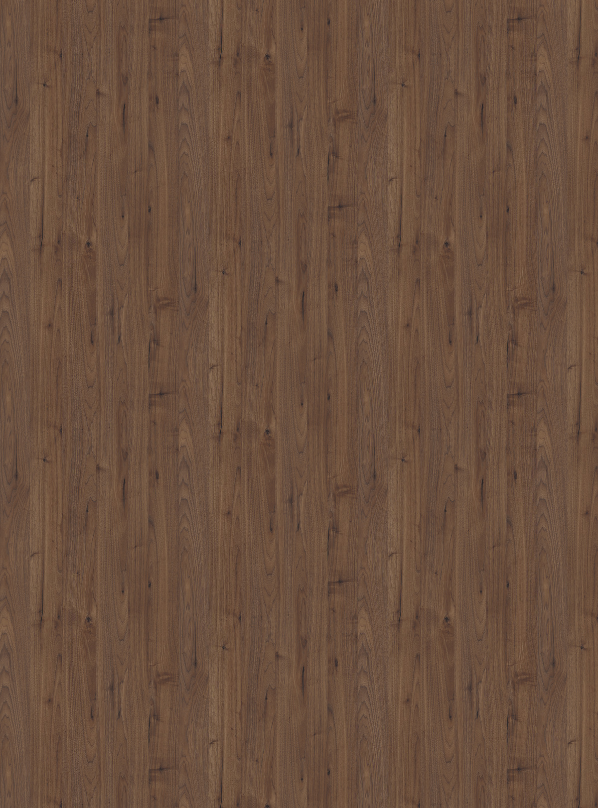 Kaindl CPL K5280 AN Noten Gasperi Predazzo 3050X1350X0,8MM