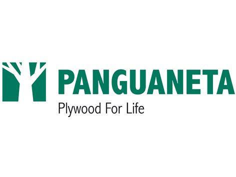 Panguaneta logo