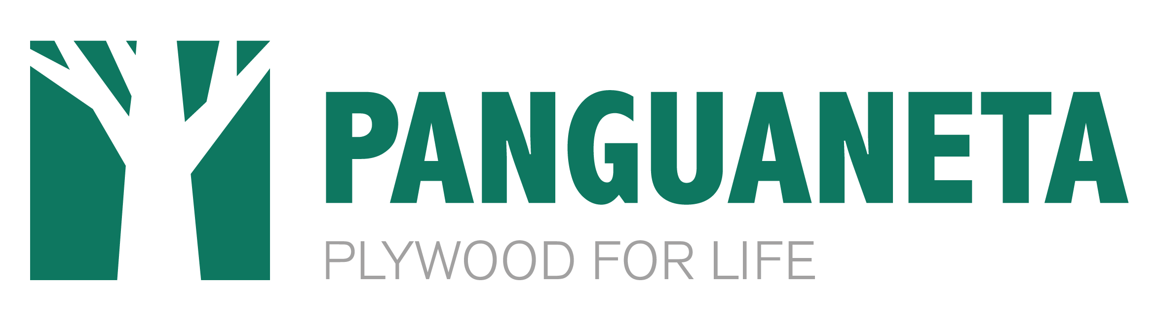 Panguaneta logo